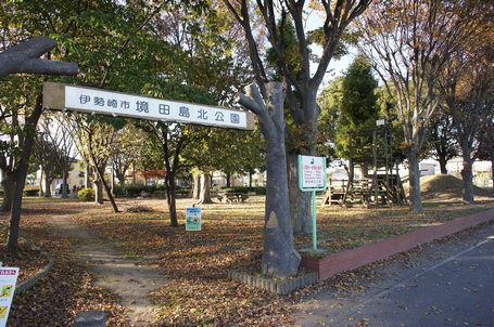 ウィズ A 202号-15