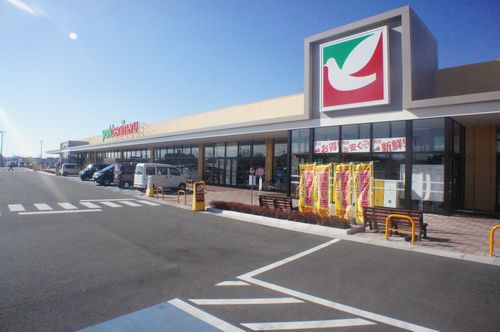 ストローハットＧ 101号-12