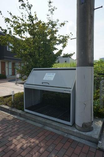 クレマチスT 201号-4