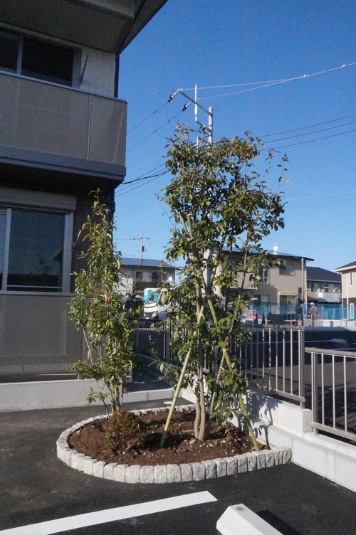 オークス 102号-14