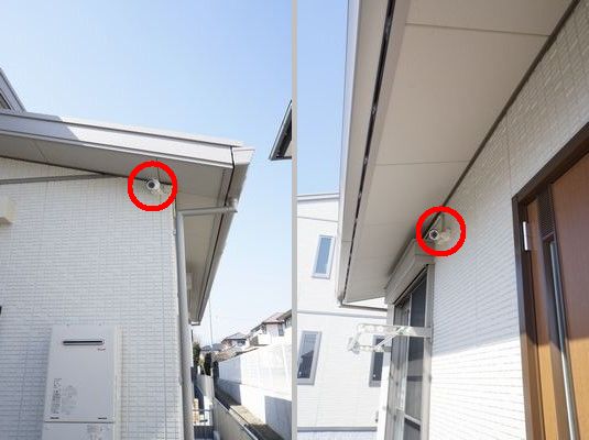 エーデルワイスＣ 101号-15