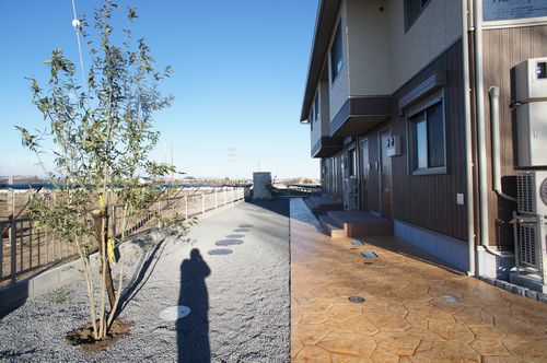 フェザント　Ⅲ 203号-5