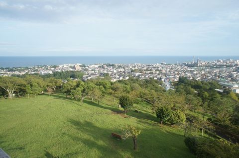 レジデンス神峰 301号-14