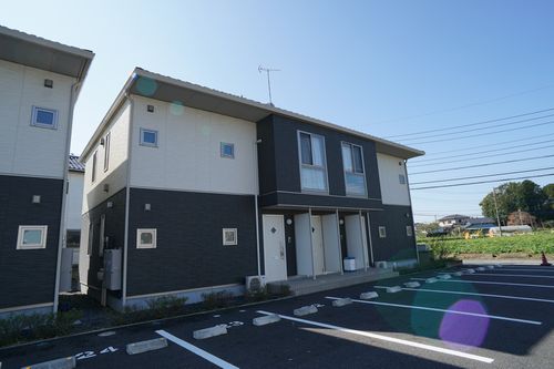 クレイプマートル・５１　Ｄ201-1