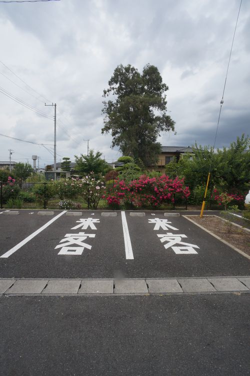 カサベルテもみじ谷 F 201号-15