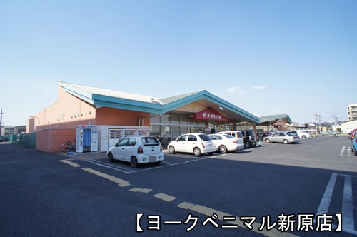 ピエールリヴィエール　Ｃ 202号-13