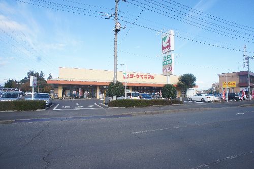 ドリーミオ大塚 C 205号-14