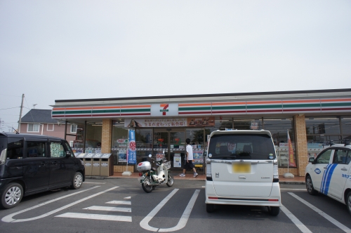 向日葵 C 201号-12