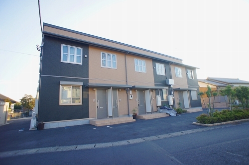 ブラウン クロス 201号-13