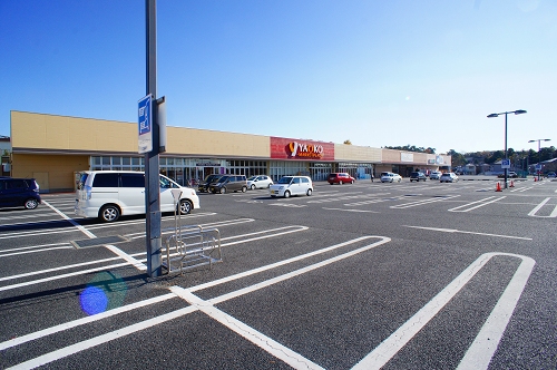 ブラウン クロス 201号-14