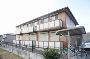 グレイスコート