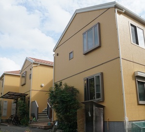 Ｍａｉｓｏｎ　Ｖｉｏ