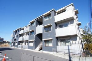 Ｈａｕ　Ｔｒｅｅ　Ｌａｎａｉ 102号-1