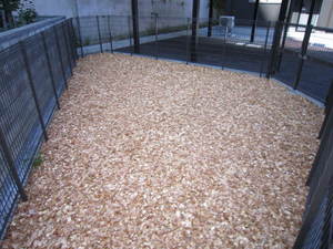 ｃｈｅｒｅ　ｆａｍｉｌｌｅ　北円山 101号-13