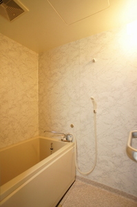 シャト－レ西新井 202号-10