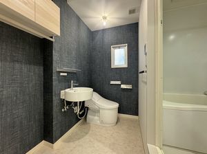 ハイムブルンネン 105号-8