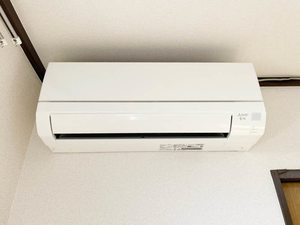 ハイムブルンネン 202号-12