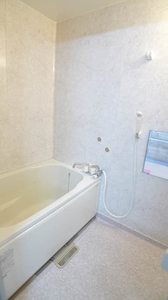 ポニ-ハイツ 101号-5