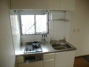 メゾン・ド・大泉学園 101号-9