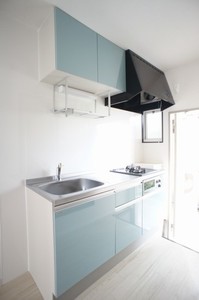 メゾンド-ル国立 103号-8