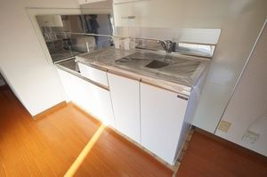 ツインハイムＢ 101号-5