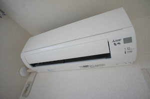 ラプラスいずみ 202号-9