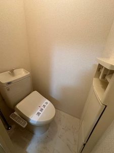 ラプラスいずみ 205号-7