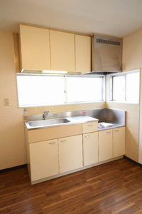 サンヨ-ハイム 202号-9