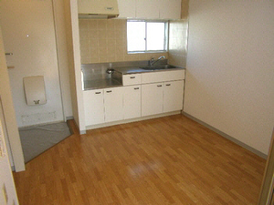 ペルテ・ハイロ－ズＡ 203号-9