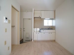 ペルテ・ハイロ－ズＢ 102号-10