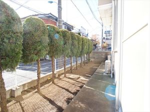 ペルテ・ハイロ－ズＢ 102号-11