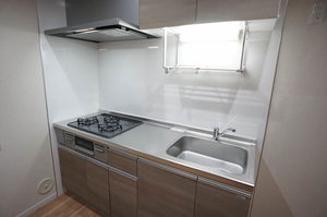 フレグランス今川 201号-9