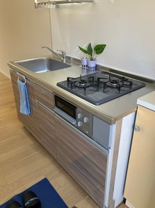 カ－サ・マスミＡ 202号-10