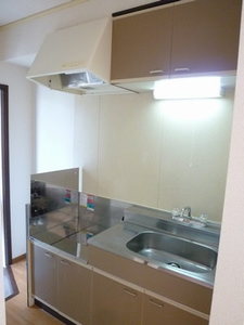 アネスタ・インパルス 202号-3