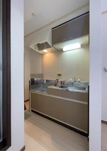 アネスタ・インパルス 202号-10