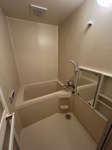 ヴィルフランシュ 202号-5