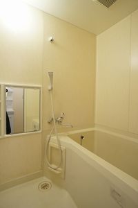 ドミ-ルⅡ 102号-11