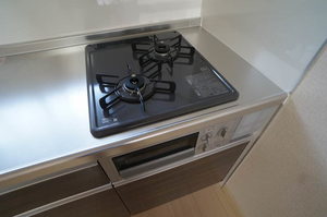 ドミ-ルⅡ 103号-10