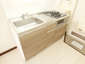 ペルテＭｔ 201号-5