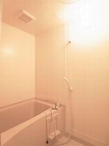 ベルビラ－ジュ桜町 206号-10