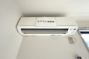 ＣＯＯＰＥＲＡＳＥ　ＭＥＪＩＲＯ　ＩＭＡＩ 203号-10