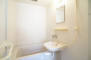 オリュンポス１号棟 203号-9