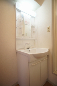 グリーンハイム氷川台B 101号-10