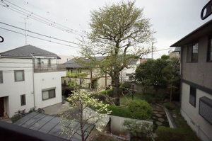 メゾン・ド・フルールⅡ 203号-11