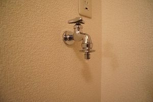 アネックス・メグ 101号-10