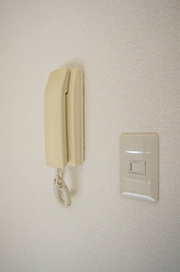 ベル久我山 207号-11