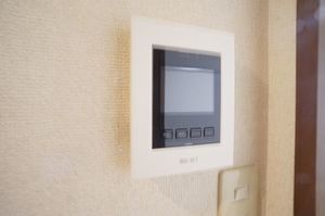 モンセラ 202号-5