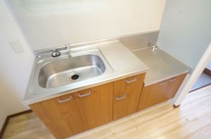 モンセラ 202号-7