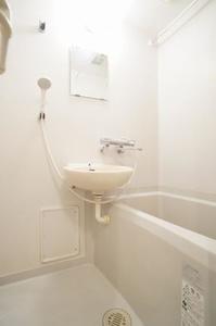 モンセラ 202号-8