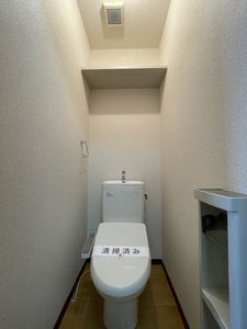 カエノメレス 201号-8